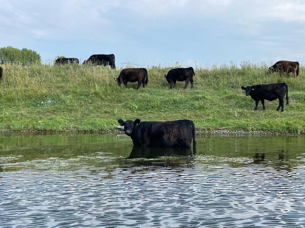 Ons Maashuisje Maaseik Exteriér fotografie